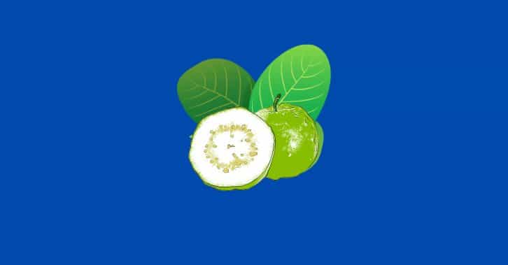 পেয়ারা খাওয়ার উপকারিতা ও গুনাগুন